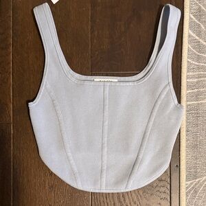 Light Blue Aritzia Sculpt Knit Bustier Tank
